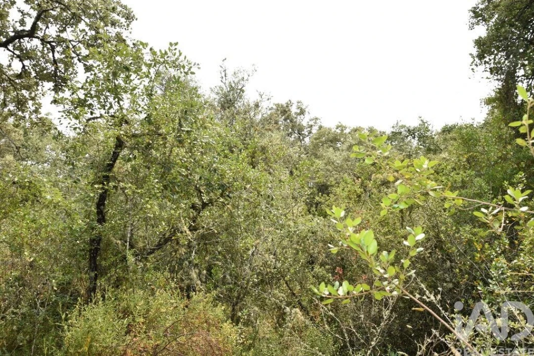Terreno para Venda em Chãos Foto 28