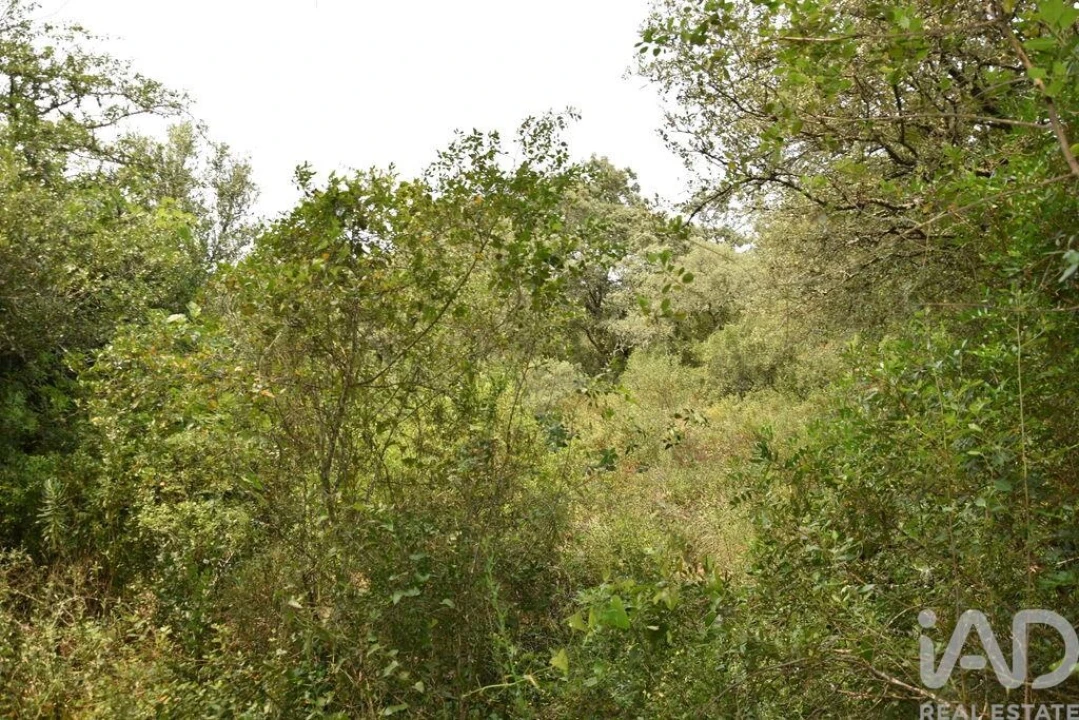 Terreno para Venda em Chãos Foto 18
