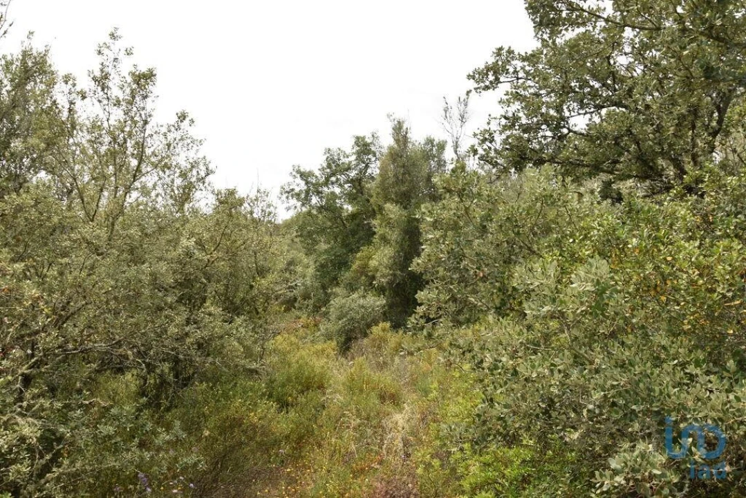 Terreno para Venda em Chãos Foto 10