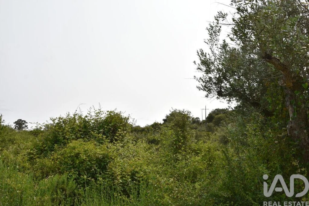 Terreno para Venda em Chãos Foto 24