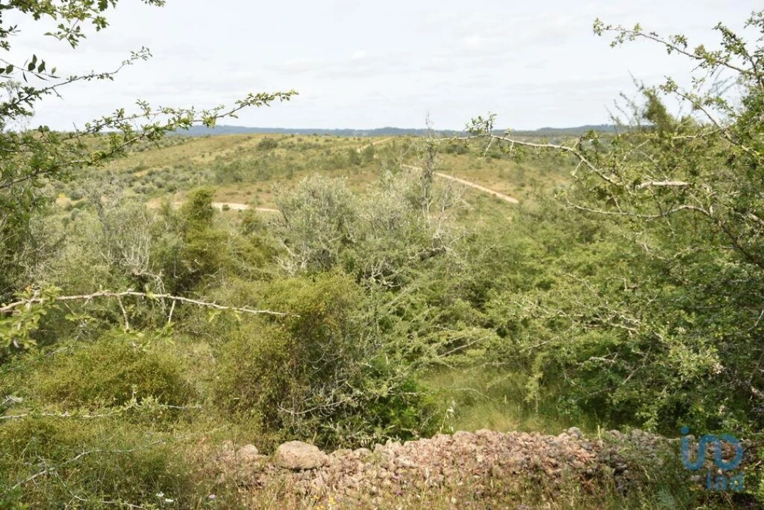 Terreno para Venda em Chãos Foto 9