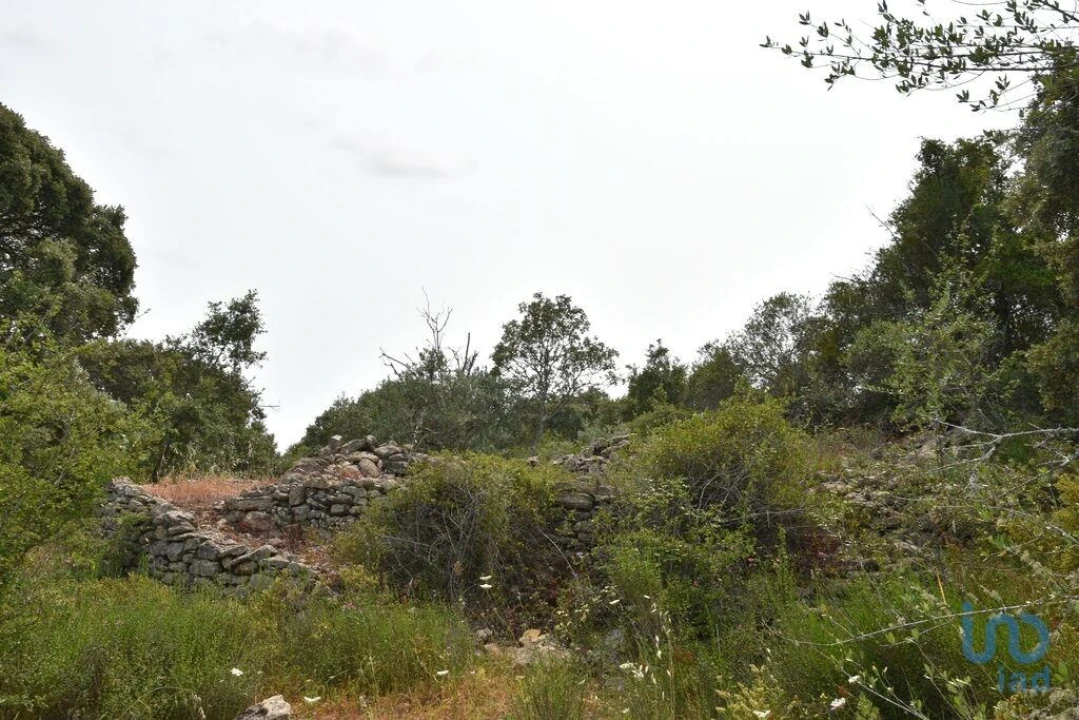 Terreno para Venda em Chãos Foto 8