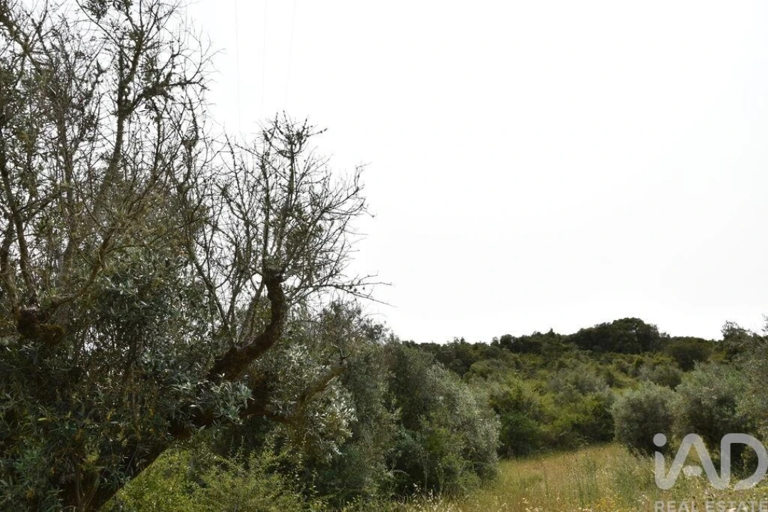 Terreno para Venda em Chãos Foto 22