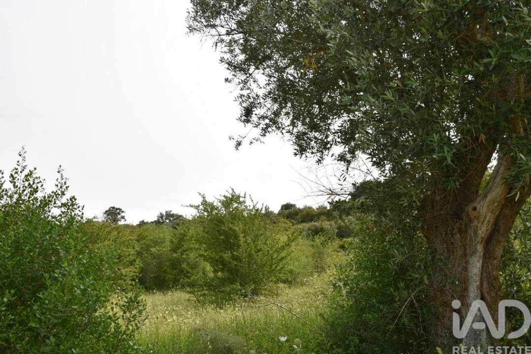 Terreno para Venda em Chãos Foto 26