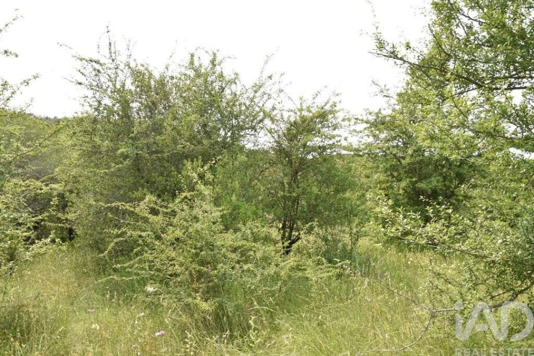 Terreno para Venda em Chãos Foto 18