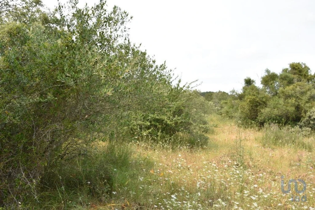 Terreno para Venda em Chãos Foto 7