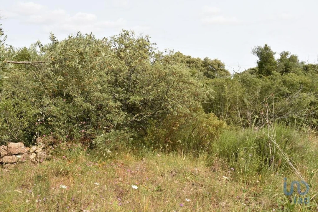 Terreno para Venda em Chãos Foto 13
