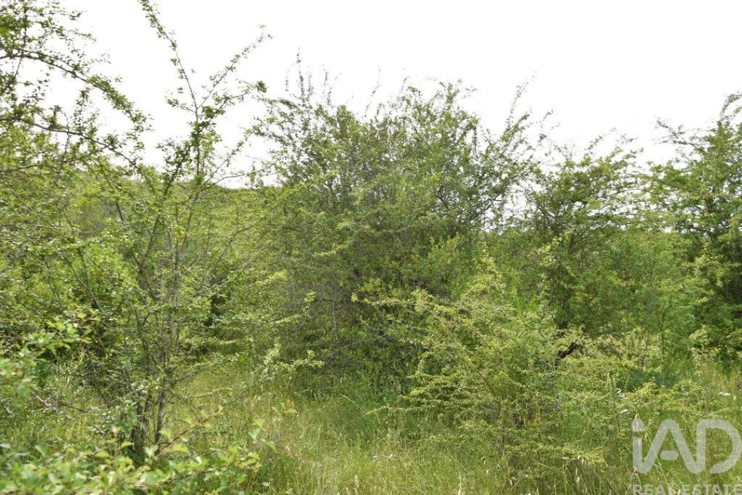 Terreno para Venda em Chãos Foto 19