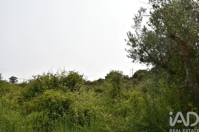 Terreno para Venda em Chãos Foto 24