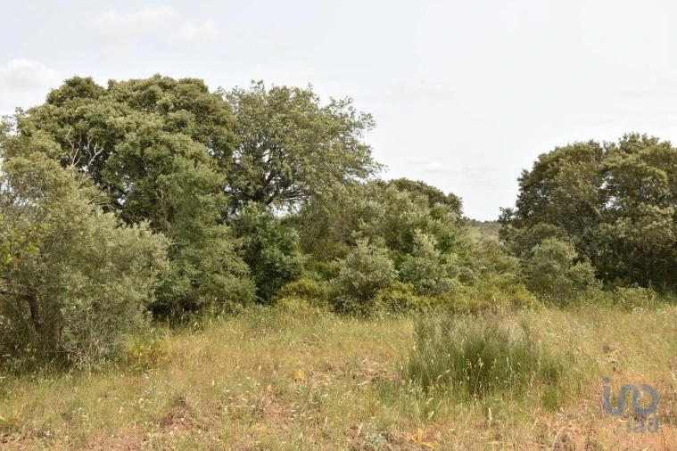 Terreno para Venda em Chãos Foto 14