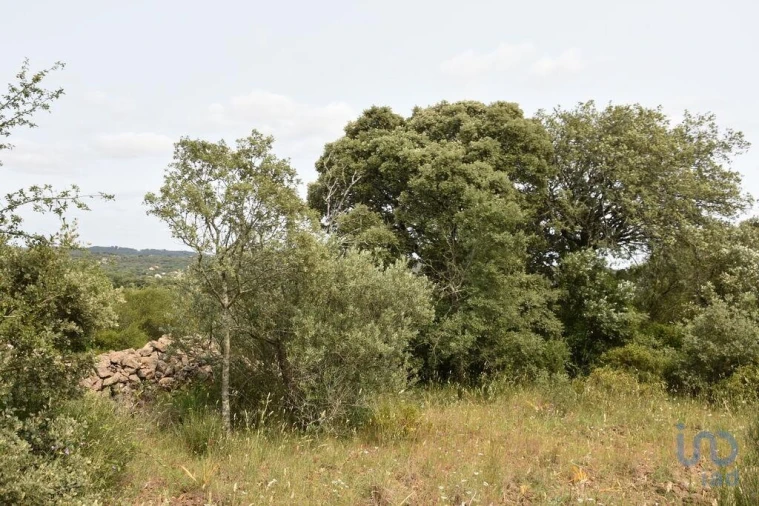 Terreno para Venda em Chãos Foto 4