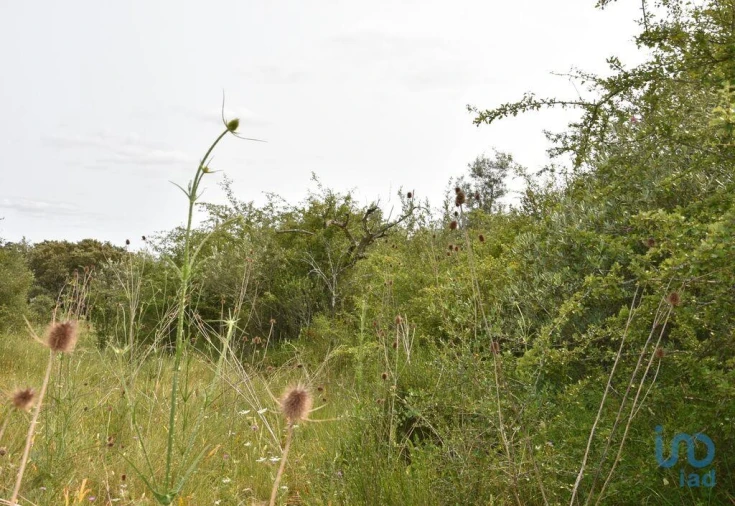 Terreno para Venda em Chãos Foto 12