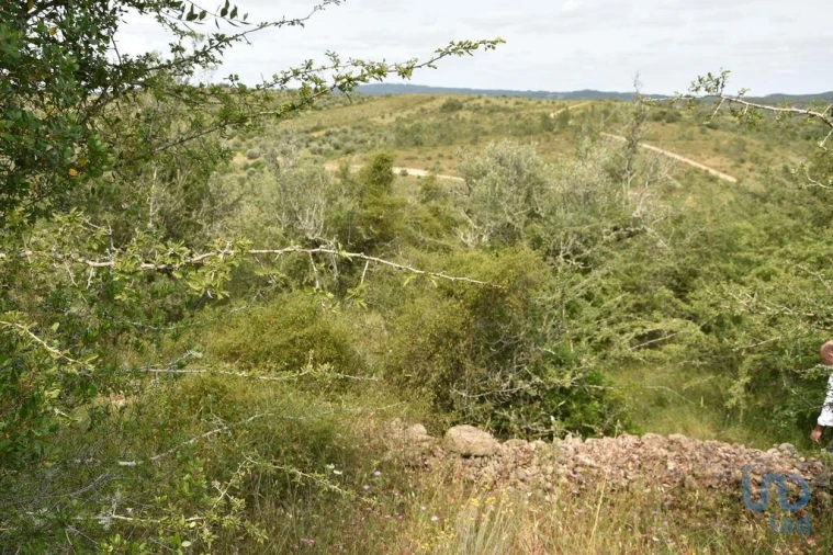 Terreno para Venda em Chãos Foto 10