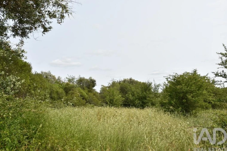 Terreno para Venda em Chãos Foto 25
