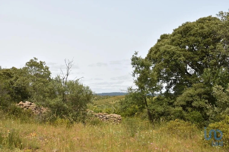 Terreno para Venda em Chãos Foto 5