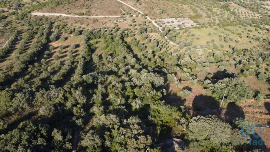 Terreno para Venda em Chãos Foto 3
