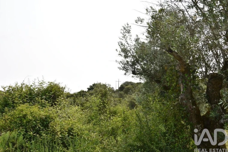 Terreno para Venda em Chãos Foto 23