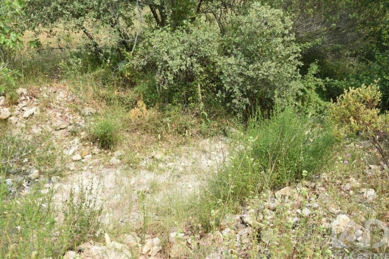 Terreno para Venda em Chãos Foto 27