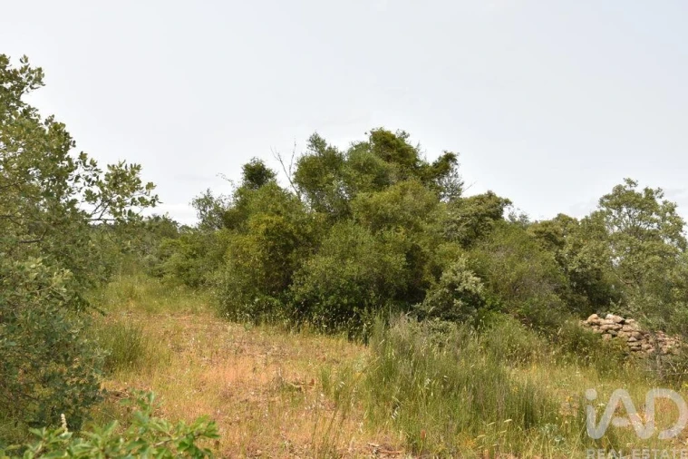 Terreno para Venda em Chãos Foto 15