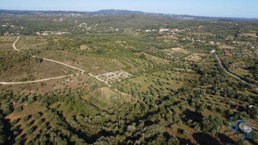 Terreno para Venda em Chãos Foto 1