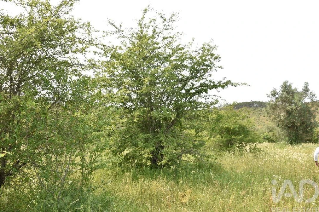 Terreno para Venda em Chãos Foto 20