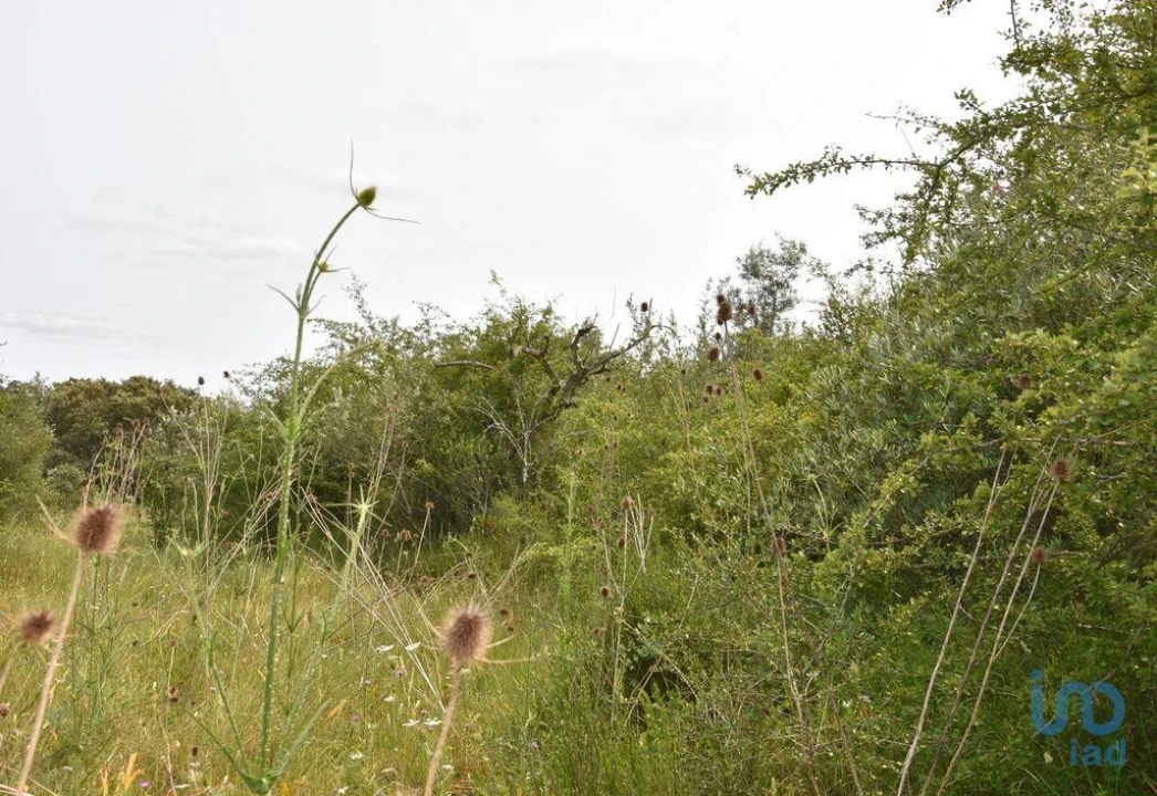 Terreno para Venda em Chãos Foto 12