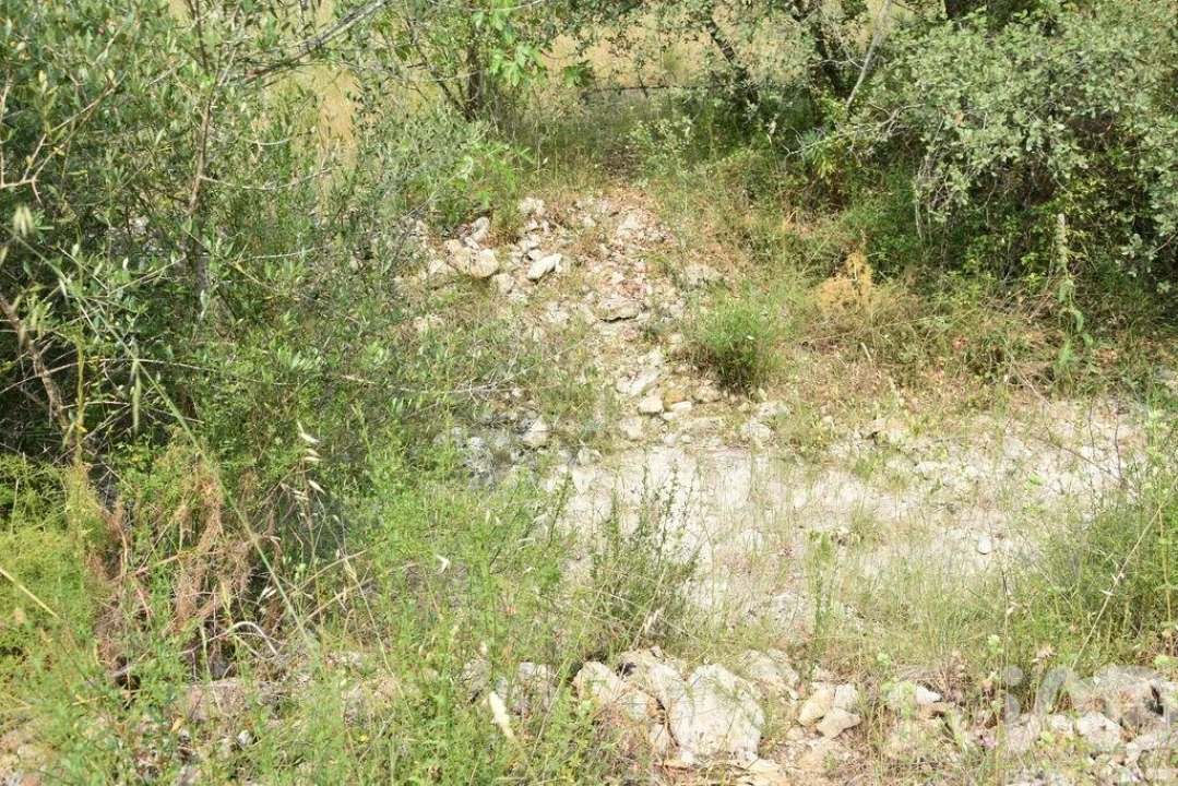 Terreno para Venda em Chãos Foto 28