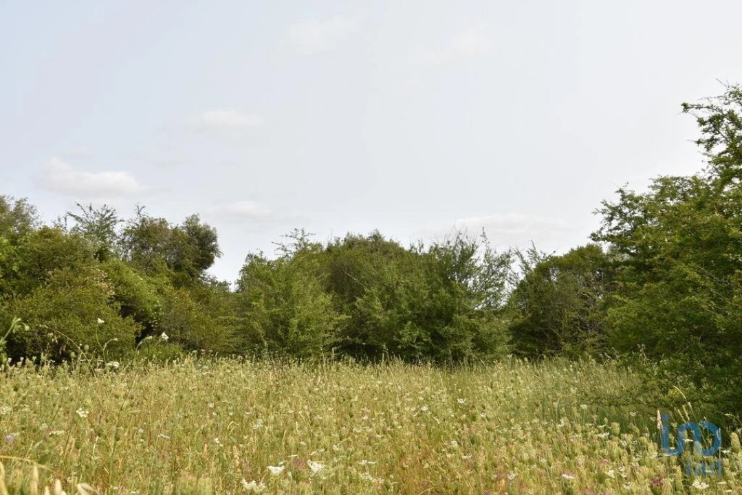 Terreno para Venda em Chãos Foto 6