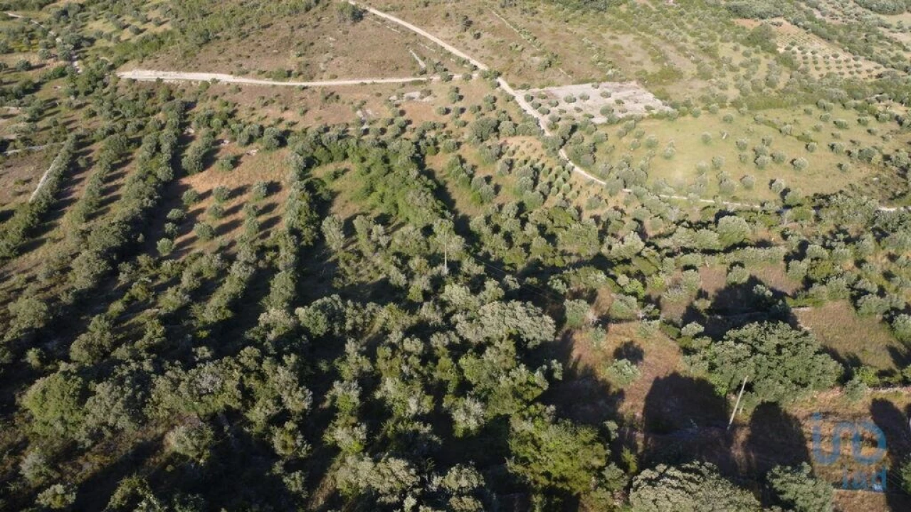 Terreno para Venda em Chãos Foto 2