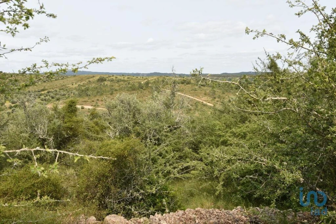 Terreno para Venda em Chãos Foto 11