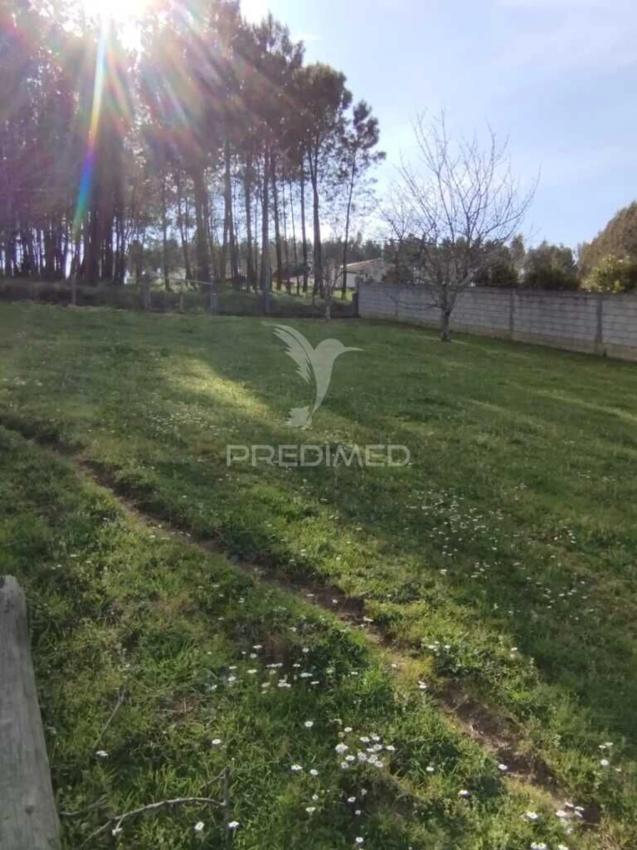 Moradia T4 para Venda em Beco Foto 2