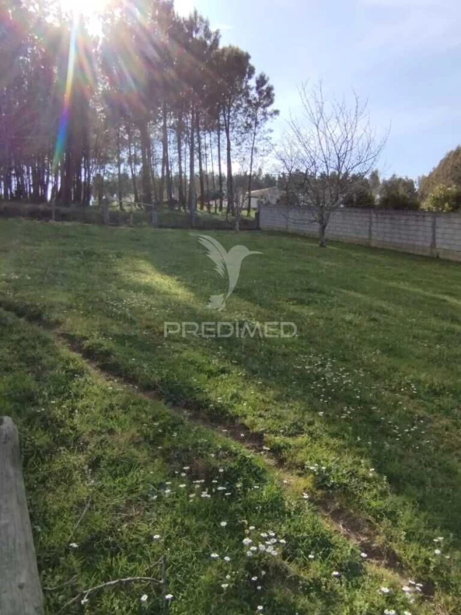 Moradia T4 para Venda em Beco Foto 2