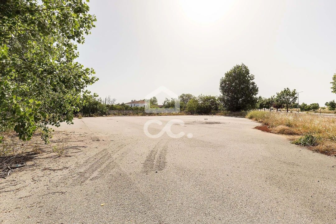 Terreno para Venda em Bacelo e Senhora da Saúde Foto 20