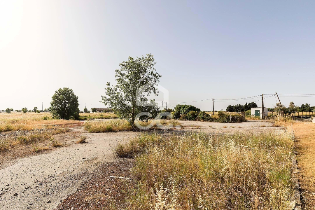 Terreno para Venda em Bacelo e Senhora da Saúde Foto 15