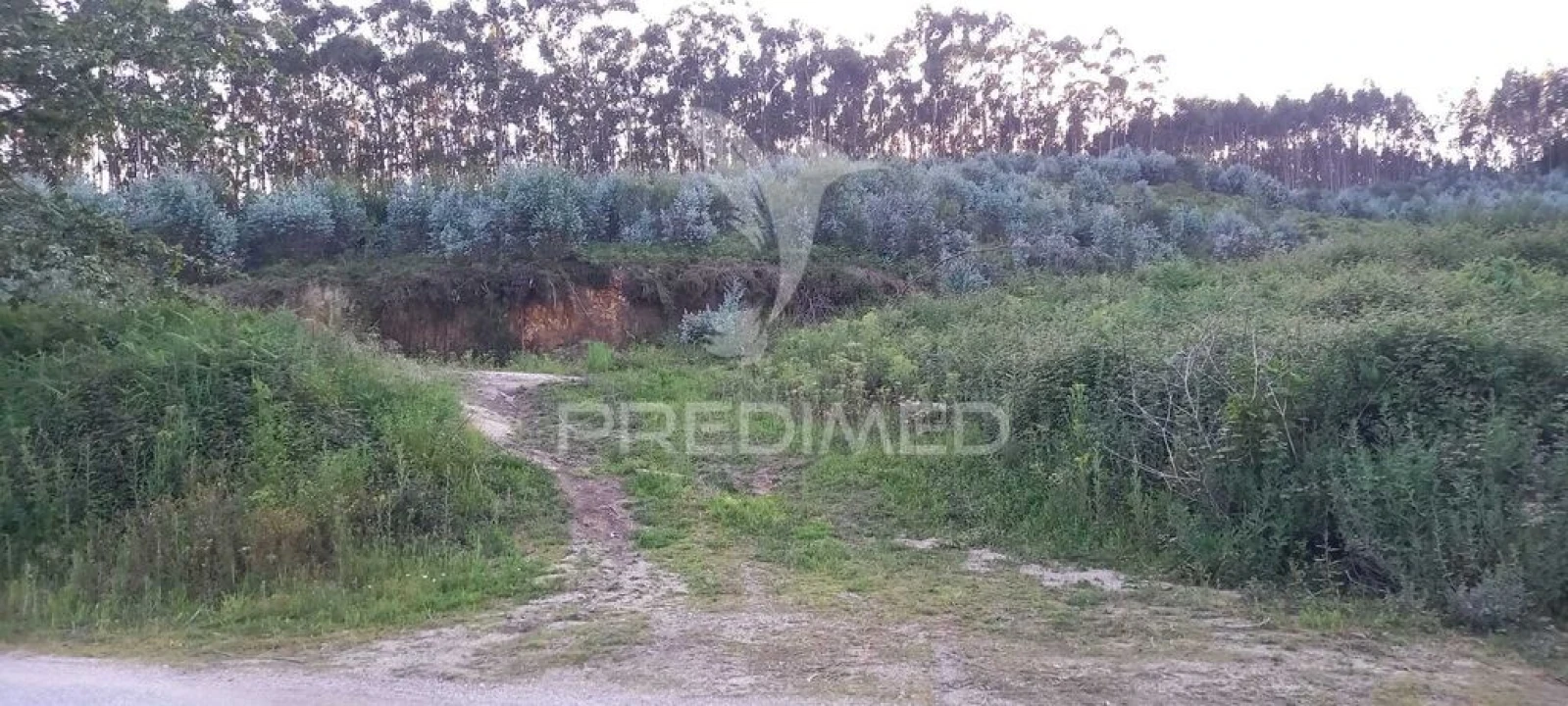 Terreno para Venda em Sande Vila Nova e Sande São Clemente Foto 8