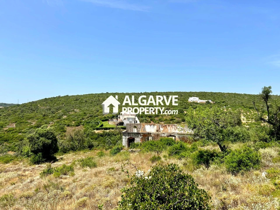 Terreno para Venda em Loule (São Clemente) Foto 8