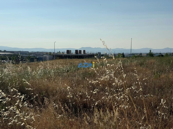 Terreno para Venda em Castelo Branco Foto 4
