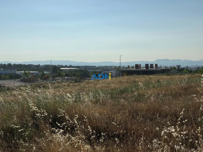 Terreno para Venda em Castelo Branco Foto 6