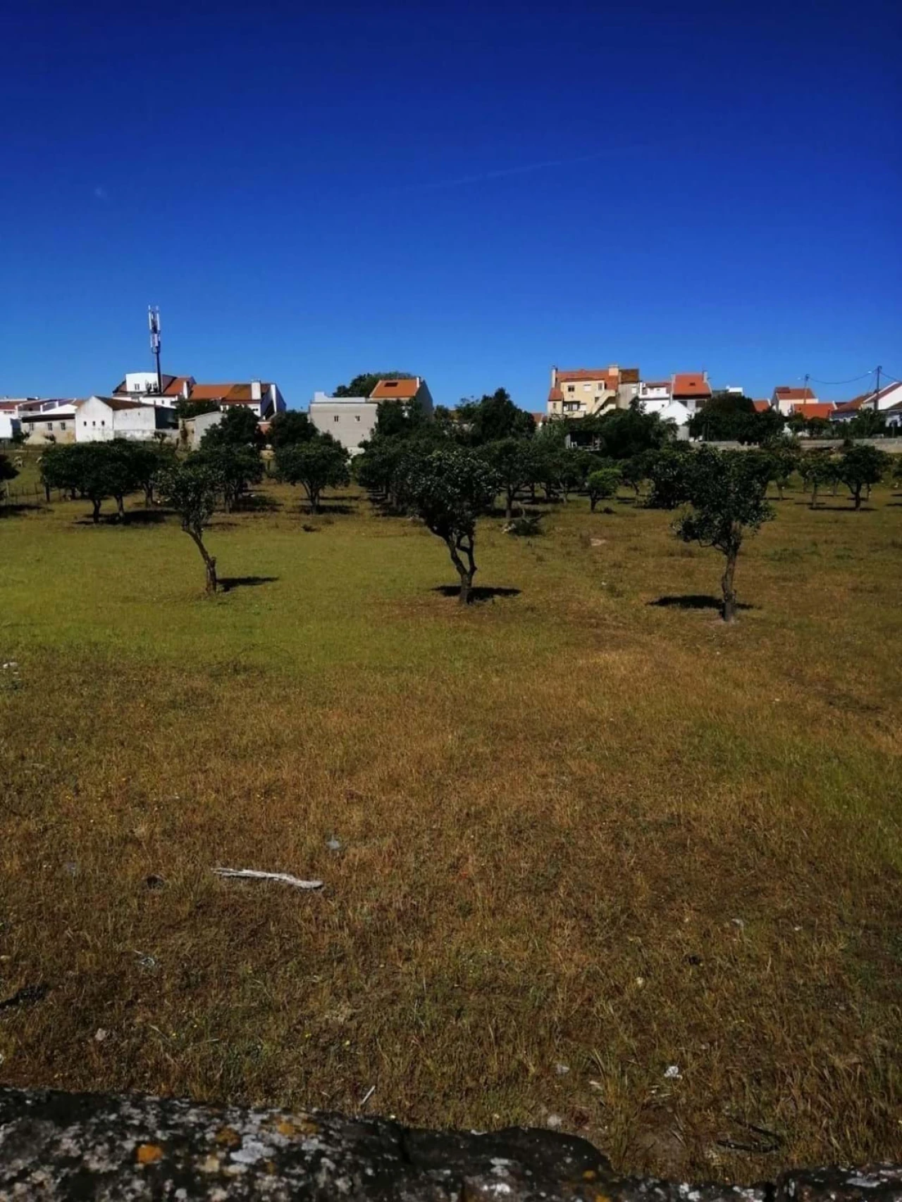 Terreno para Venda em Seixal Foto 3