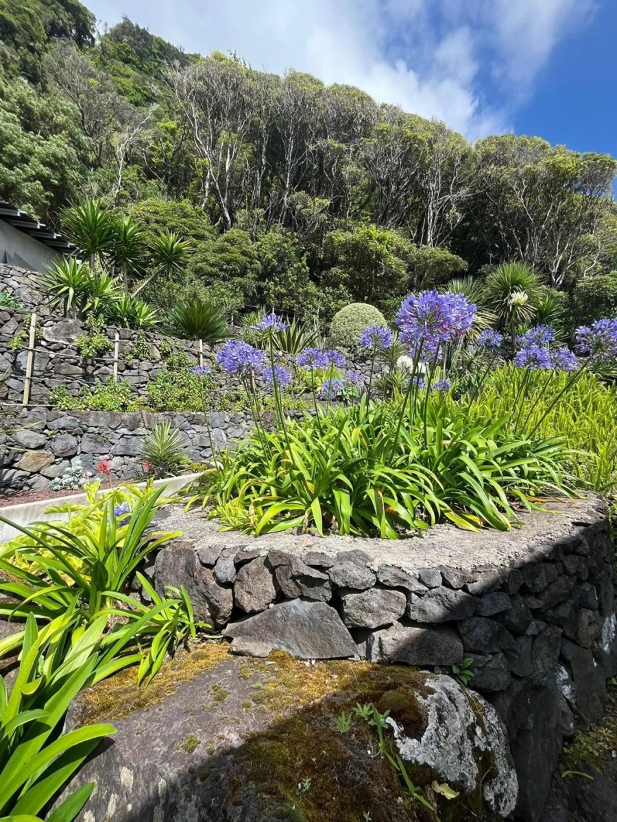 Moradia T3 para Venda em Nordeste Foto 18