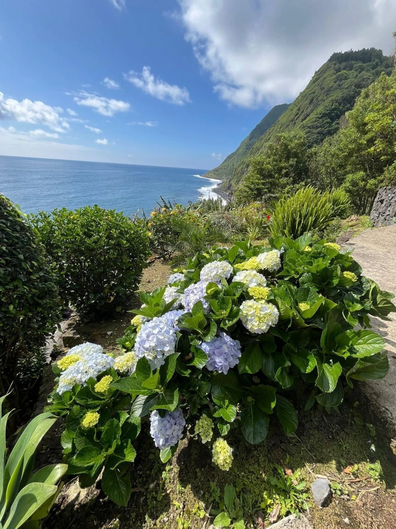 Moradia T3 para Venda em Nordeste Foto 19