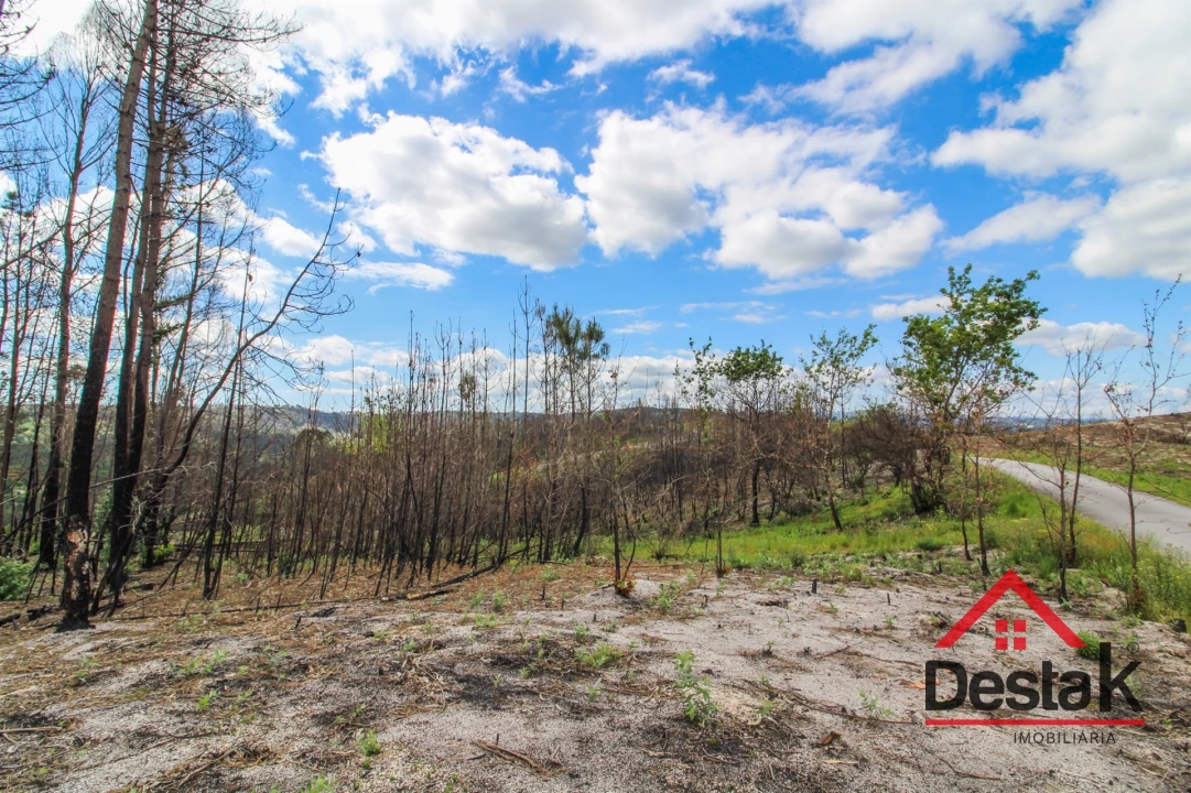 Terreno Agricola ou Rústico para Venda em Sul Foto 10