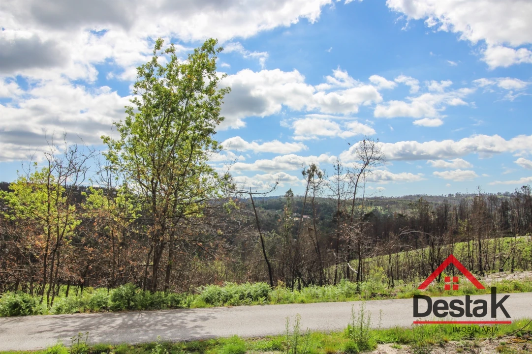 Terreno Agricola ou Rústico para Venda em Sul Foto 5