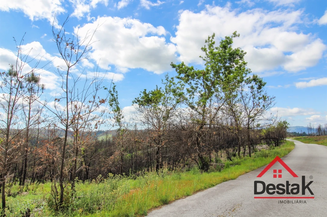 Terreno Agricola ou Rústico para Venda em Sul Foto 11