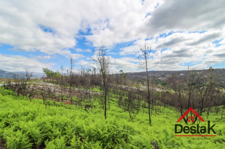 Terreno Agricola ou Rústico para Venda em Sul Foto 2