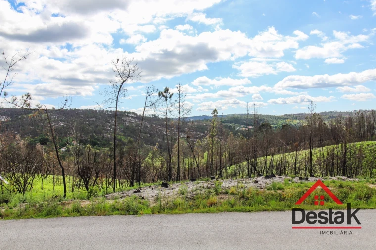 Terreno Agricola ou Rústico para Venda em Sul Foto 4