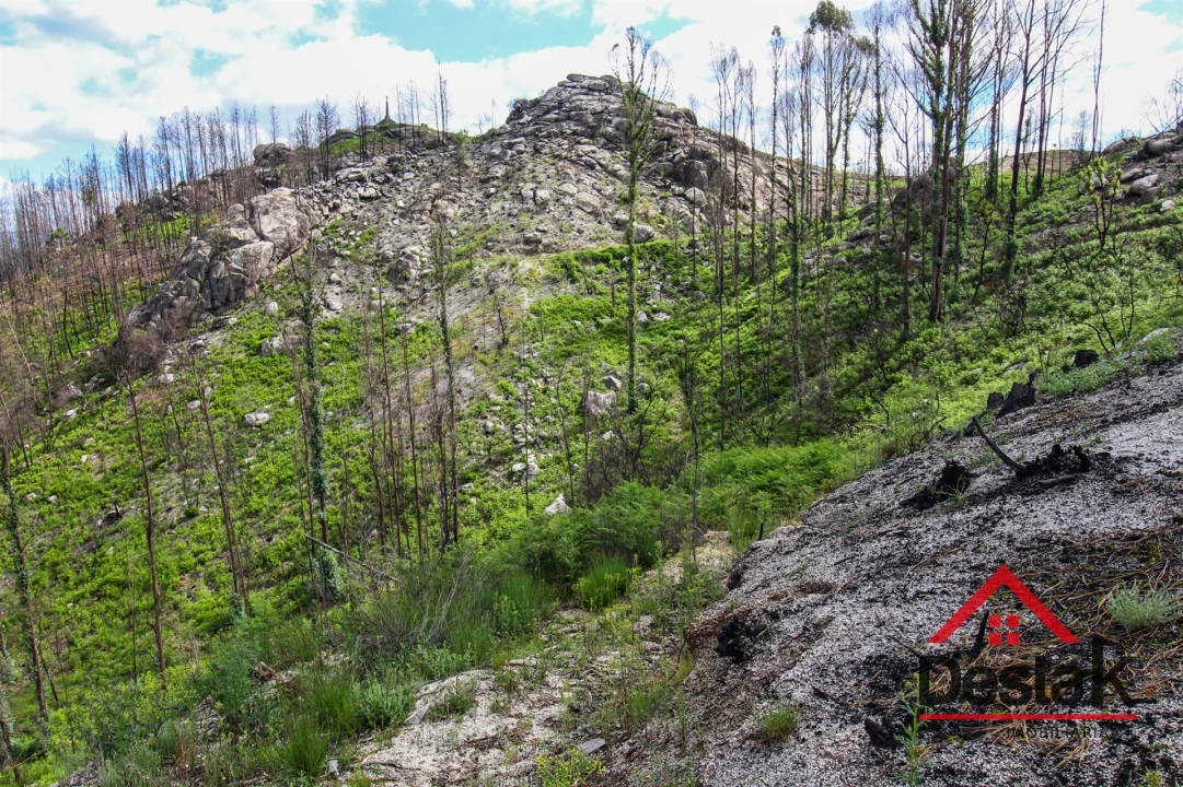 Terreno Agricola ou Rústico para Venda em Sul Foto 10
