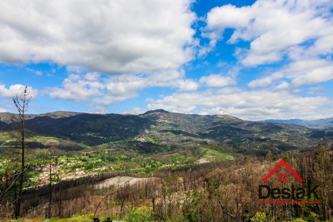 Terreno Agricola ou Rústico para Venda em Sul Foto 11