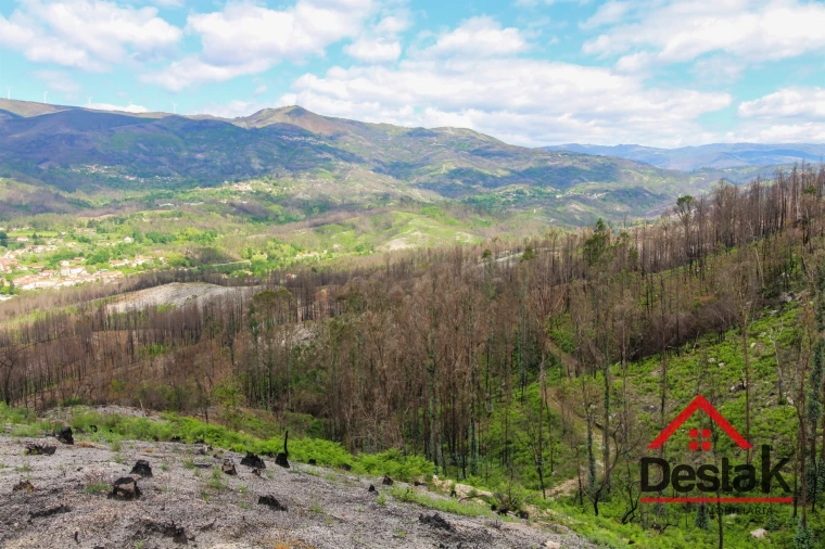 Terreno Agricola ou Rústico para Venda em Sul Foto 4