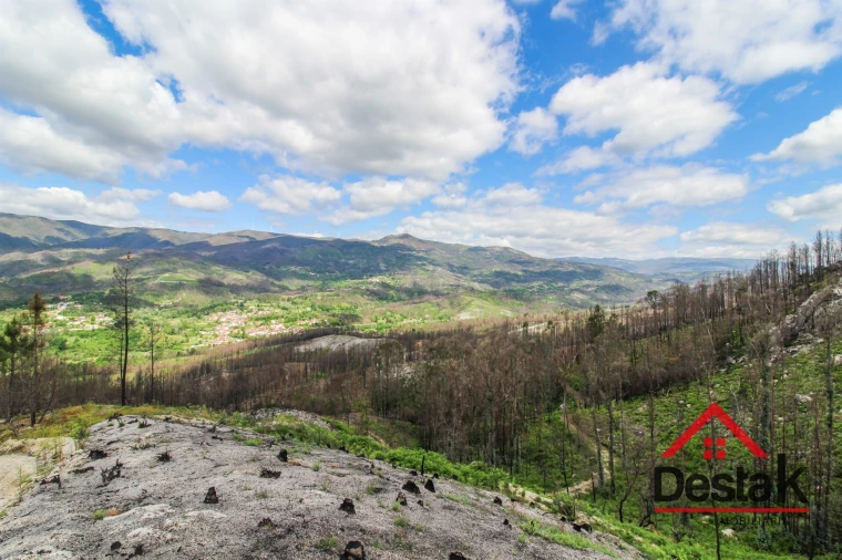 Terreno Agricola ou Rústico para Venda em Sul Foto 6
